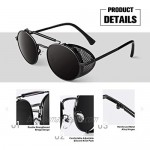 Retro Round Polarized Steampunk Sunglasses Side Shield Goggles Gothic S92-ADVANCED POLARIZED