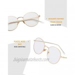 Blue Light Blocking Glasses for Women Men Stylish Round Metal Frame Clear Lens Eyeglasses
