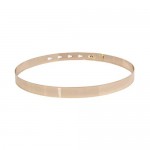 shengweiao Women's Fashion Sleek Gold Mirror Metal Waist Belt for Dresse