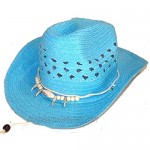 12 PIECES wholesale BULK LOT ASSORTTED COLOR Cowboy/Cowgirl Woven Straw Hat with Imatation Bear Claw and Beads Headband