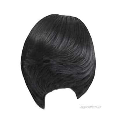 Short Fluffy Bob Straight Hair Wigs Short Straight Gradient Full Wig Hairstyles Custom Cosplay Party Hairpiece (Black)