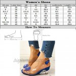 Women's Crystal Clear Wedge Sandals Slip On Peep Toe Chunky Block Transparent Pumps Sandal