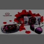 Hard Sunglasses Case with Soft Eyeglass Pouch A Floral Glasses case Hard Shell w/Soft Eye Glass Carry case by Rachel Rowberry (AS113 + CT2 Poppy)